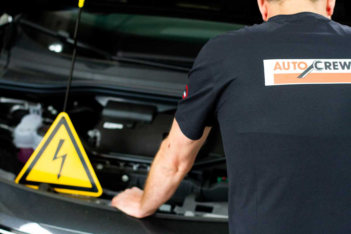 Elektrische en hybride voertuigen Garage Leo Jacobs